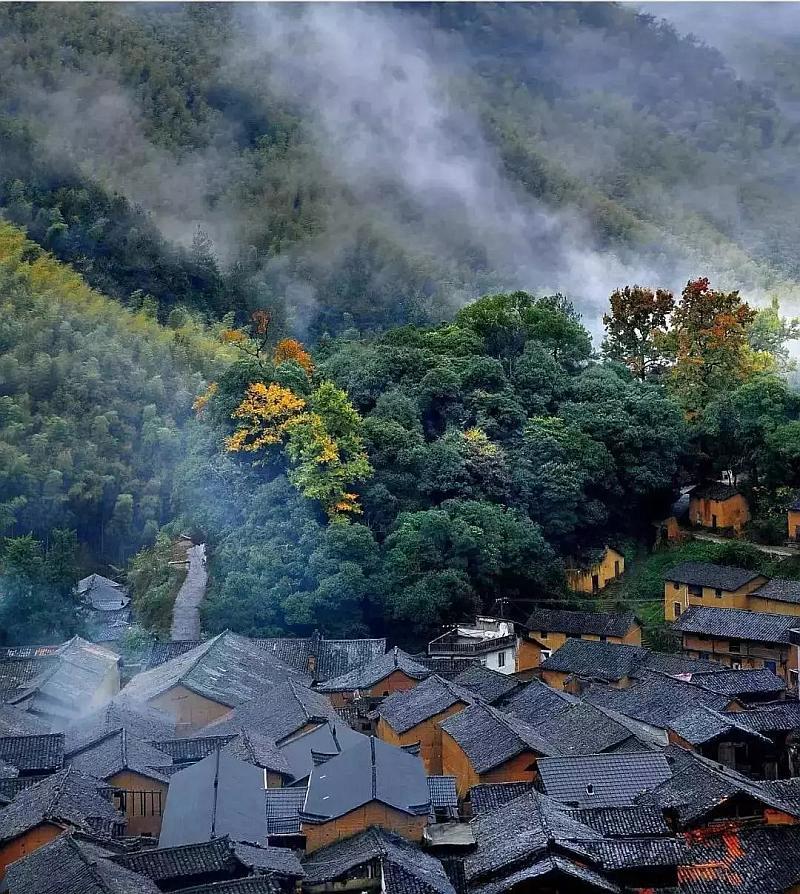 御龙在天